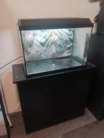Juwel Primo 70 led aquarium inclusief extern pompfilter, Zo goed als nieuw, Ophalen, Leeg aquarium