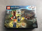 Harry Potter 75950 Harry Potter Aragog’s schuilplaats, Kinderen en Baby's, Speelgoed | Duplo en Lego, Ophalen of Verzenden, Zo goed als nieuw