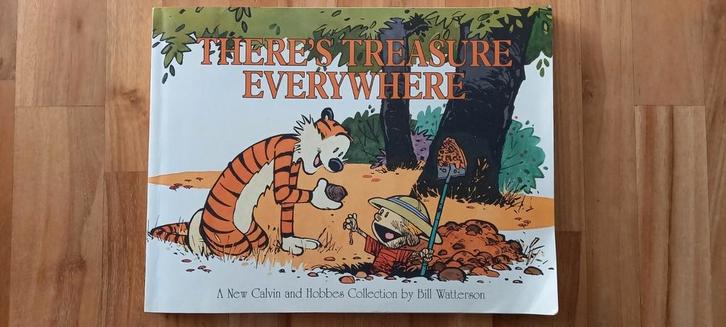 Calvin and Hobbes - There's treasure everywhere, Boeken, Humor, Zo goed als nieuw, Ophalen of Verzenden