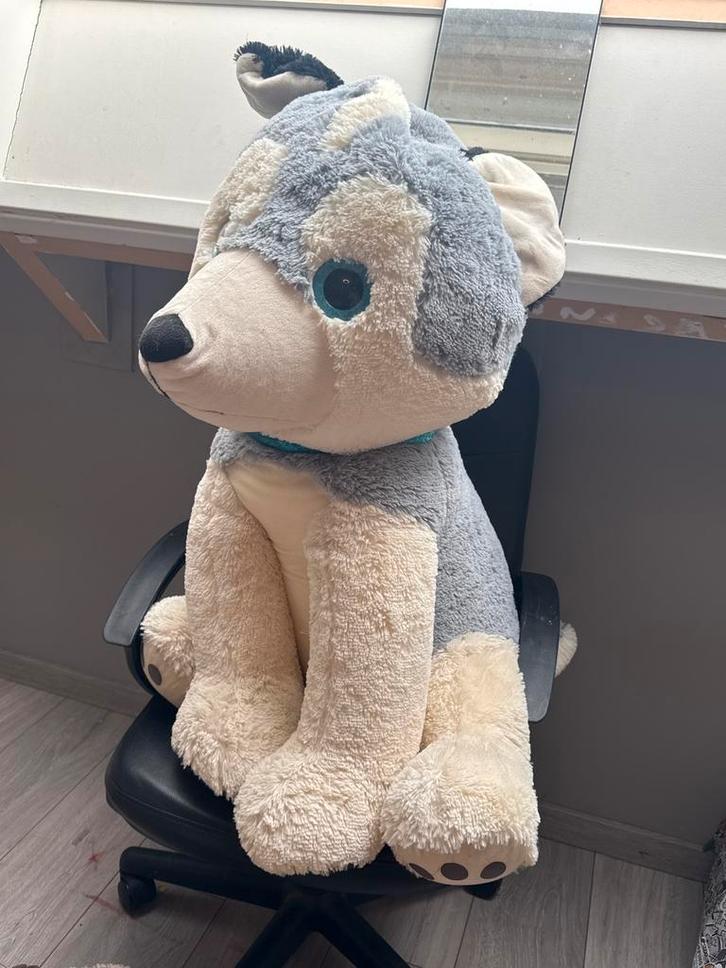 Grote pluche husky knuffel – super zacht & mooi”, Kinderen en Baby's, Speelgoed | Knuffels en Pluche, Zo goed als nieuw, Overige typen