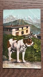 2 kaarten hond.  Hond op bank.Hond in de bergen., Ophalen of Verzenden, Overige thema's