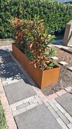 2 Cortenstalen bloembakken. Nog nieuw in doos, Tuin en Terras, Ophalen, Nieuw, Kunststof, Minder dan 60 cm