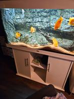aquarium te koop, Ophalen of Verzenden, Zo goed als nieuw, Leeg aquarium