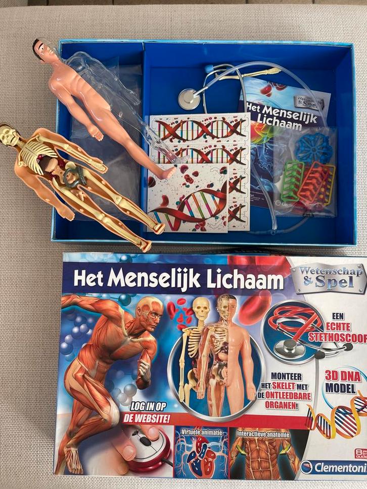 Het Menselijk Lichaam - Wetenschappelijk Spel. Nieuw, Kinderen en Baby's, Speelgoed | Educatief en Creatief, Nieuw, Ontdekken
