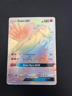 Entei GX 74/73, Ophalen of Verzenden, Nieuw, Losse kaart