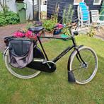 Gazelle, doe es een leuk bod, Ophalen, Gebruikt, 57 tot 61 cm, Gazelle