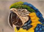 schilderij ara 292 - origineel cadeau - papegaai eigen werk, Ophalen of Verzenden, Nieuw, Overige typen