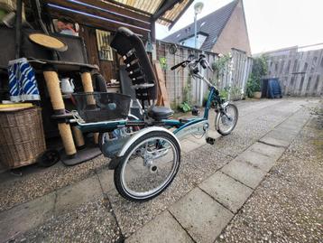 Te koop 3 wiel van Raam fiets beschikbaar voor biedingen