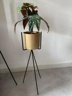 Industriele standaart kunst plant in goudkleurige pot, Ophalen of Verzenden, Zo goed als nieuw