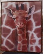 Giraffe Jong Poster - Ingelijst 40x50, Minder dan 50 cm, Ophalen of Verzenden, Zo goed als nieuw, Foto of Poster