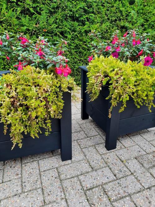 Bloembakken per 2 (80 euro), Tuin en Terras, Bloembakken en Plantenbakken, Nieuw, Hout, Ophalen