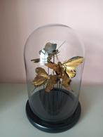 Mooie vlinders in stolp, Huis en Inrichting, Ophalen of Verzenden, Zo goed als nieuw