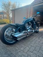 Harley davidson v rod, Motoren, Particulier, Chopper