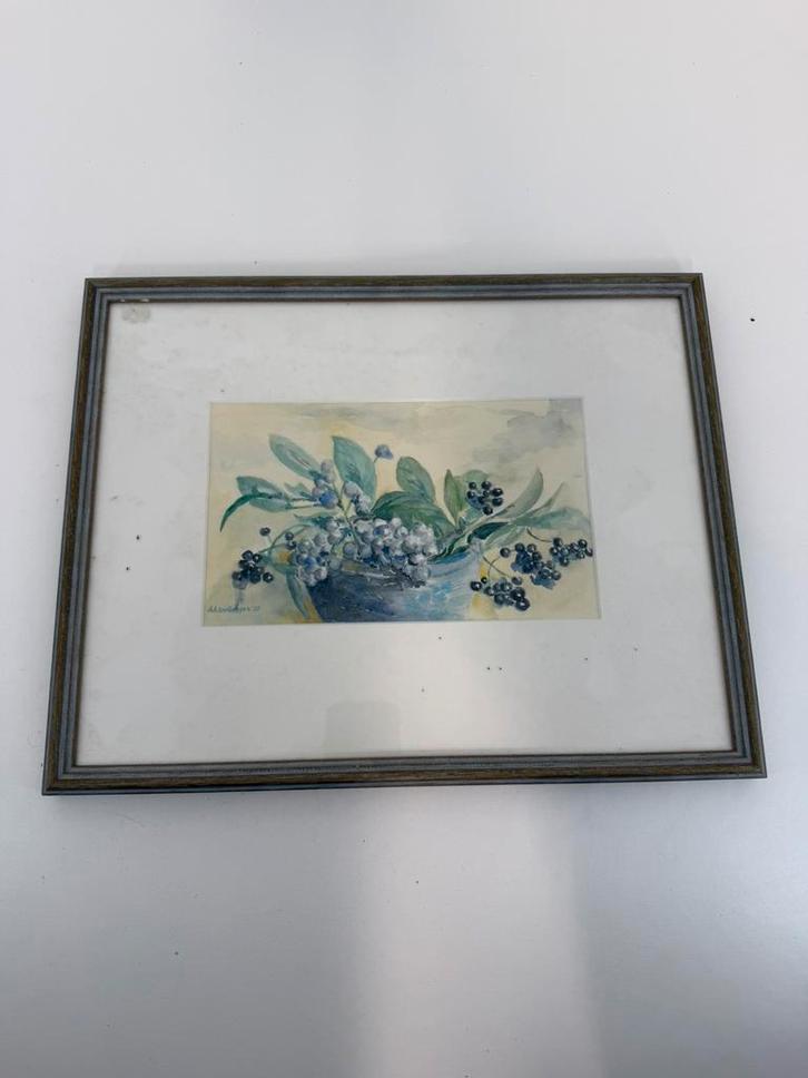 Aquarel Bessen in schaal – A.A. ter Reegen, 1995, Antiek en Kunst, Kunst | Schilderijen | Klassiek, Ophalen of Verzenden