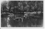 Winschoten Boschvijver, Ophalen of Verzenden, 1940 tot 1960, Ongelopen, Groningen