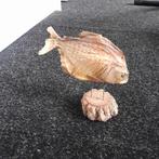 Piranha, Ophalen of Verzenden, Zo goed als nieuw, Vogel, Opgezet dier