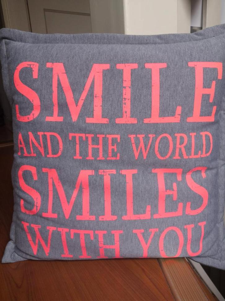 Sierkussen - Grijze kussen met tekst, Huis en Inrichting, Woonaccessoires | Kussens, Zo goed als nieuw, Grijs, Vierkant, Ophalen of Verzenden