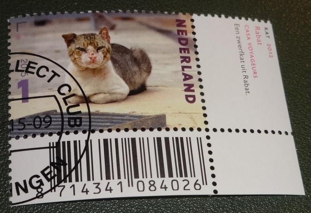 Charlotte Dumas: dier portret - 3340 hoekstuk uit vel - Kat, Verzenden, Na 1940, Gestempeld