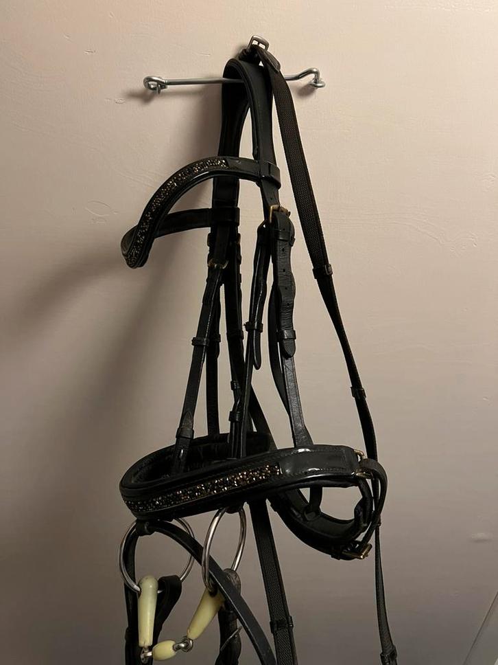 Zwart Epplejeck Full Hoofdstel met Teugels Lak Steentjes, Dieren en Toebehoren, Paarden en Pony's | Hoofdstellen en Tuigage, Gebruikt