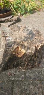 GEZOCHT boomstammetjes (hout) voor haard, Tuin en Terras, Haardhout, Minder dan 3 m³, Ophalen of Verzenden, Overige houtsoorten