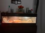 Terrarium, Dieren en Toebehoren, Reptielen en Amfibieën | Toebehoren, Ophalen, Zo goed als nieuw