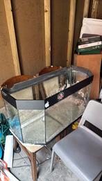 1m aqarium, Dieren en Toebehoren, Vissen | Aquaria en Toebehoren, Ophalen, Gebruikt, Leeg aquarium