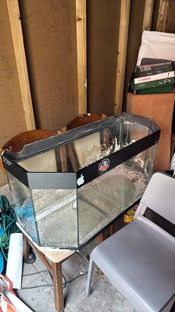 1m aqarium beschikbaar voor biedingen