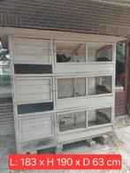 Grote flat - voor de klusser, Ophalen, Cavia, 90 cm of meer, Hok
