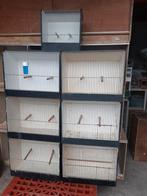 7 tt kooien waarvan 6 grote, Dieren en Toebehoren, Ophalen, Gebruikt, Hout, Overige typen