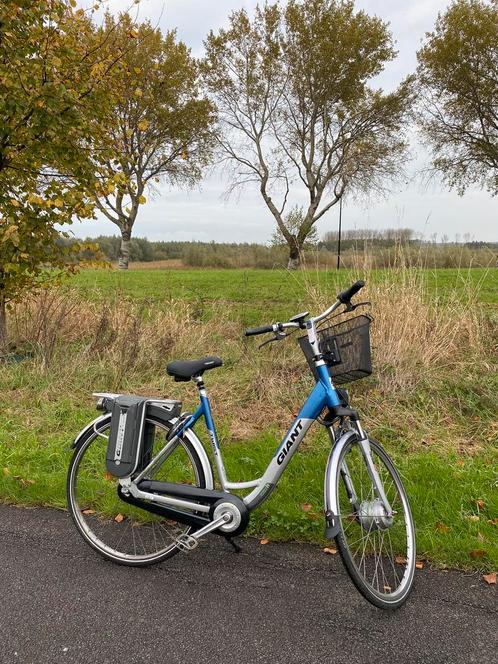 Elektrische Giant Twist Go Double Hybrid, Fietsen en Brommers, Elektrische fietsen, Zo goed als nieuw, Giant, 50 km per accu of meer