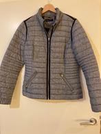 Jas herfst, Blauw, Ophalen of Verzenden, Witteveen, Maat 36 (S)