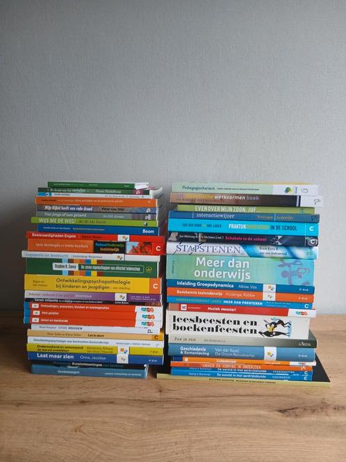 PABO studieboeken - in zeer nette staat!, Boeken, Partijen en Verzamelingen, Zo goed als nieuw, School, Studie en Wetenschap, Ophalen of Verzenden