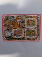 398 Motief: Tijger, Tijgers, Ophalen of Verzenden, Dier of Natuur