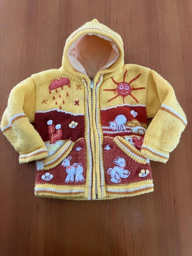 Leuk stoer geel vest jas – baby maat 74, Kinderen en Baby's, Babykleding | Maat 74, Gebruikt, Jongetje, Jasje, Ophalen of Verzenden