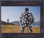 Pink Floyd - Delicate Sound Of Thunder 2-cd, Cd's en Dvd's, Ophalen of Verzenden