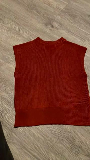 Mouwloos truitje beschikbaar voor biedingen