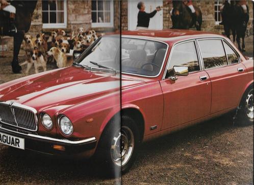 Brochure JAGUAR Serie III XJ6 4.2 en XJ12 5.3, 1979 (NL), Boeken, Auto's | Folders en Tijdschriften, Nieuw, Overige merken, Verzenden