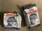 Royal canin kattenvoer dental (nieuwe zak), Dieren en Toebehoren, Ophalen of Verzenden, Nieuw