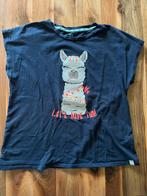 T-shirt maat 158 WE, Gebruikt, WE, Meisje, Ophalen of Verzenden