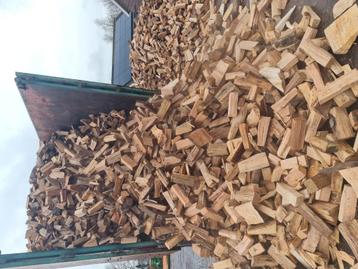 Mooi haardhout brandhout  beschikbaar voor biedingen