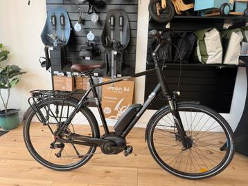 Mooie Pegasus Premio elektrische herenfiets Performance 500W beschikbaar voor biedingen