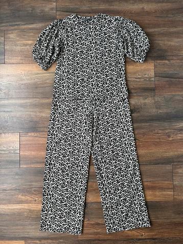 Leopard pak van Twoday/Scapino beschikbaar voor biedingen