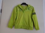 Trainingsjack / jas jongens / meisjes -- mt 122 -- dmb sport, Kinderen en Baby's, Kinderkleding | Maat 122, Jongen of Meisje, Sport- of Zwemkleding
