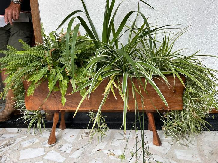 Retro, vintage plantenbak, Tuin en Terras, Bloembakken en Plantenbakken, Gebruikt, Hout, Binnen, 30 tot 60 cm, 60 tot 100 cm, Rechthoekig