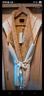 Gilet bodywarmer teddy Alchemist nieuw met kaartje 40, Ophalen of Verzenden, Nieuw, Maat 38/40 (M), Beige