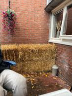 6 Balen Stro - Nieuw, Dieren en Toebehoren, Ophalen of Verzenden