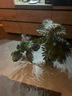 Kunst kamerplanten, Huis en Inrichting, Kamerplanten, Groene kamerplant, Ophalen, Overige soorten, 100 tot 150 cm