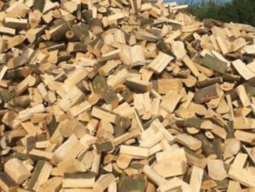 openhaardhout gedroogd 25cm lengte  beschikbaar voor biedingen