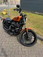 Harley Sportster Iron 883. 3225 miles. 2014 Vance&Hines, Motoren, Motoren | Harley-Davidson, Bedrijf, Chopper