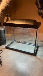 Aquarium 20 liter, Ophalen of Verzenden, Gebruikt, Leeg aquarium